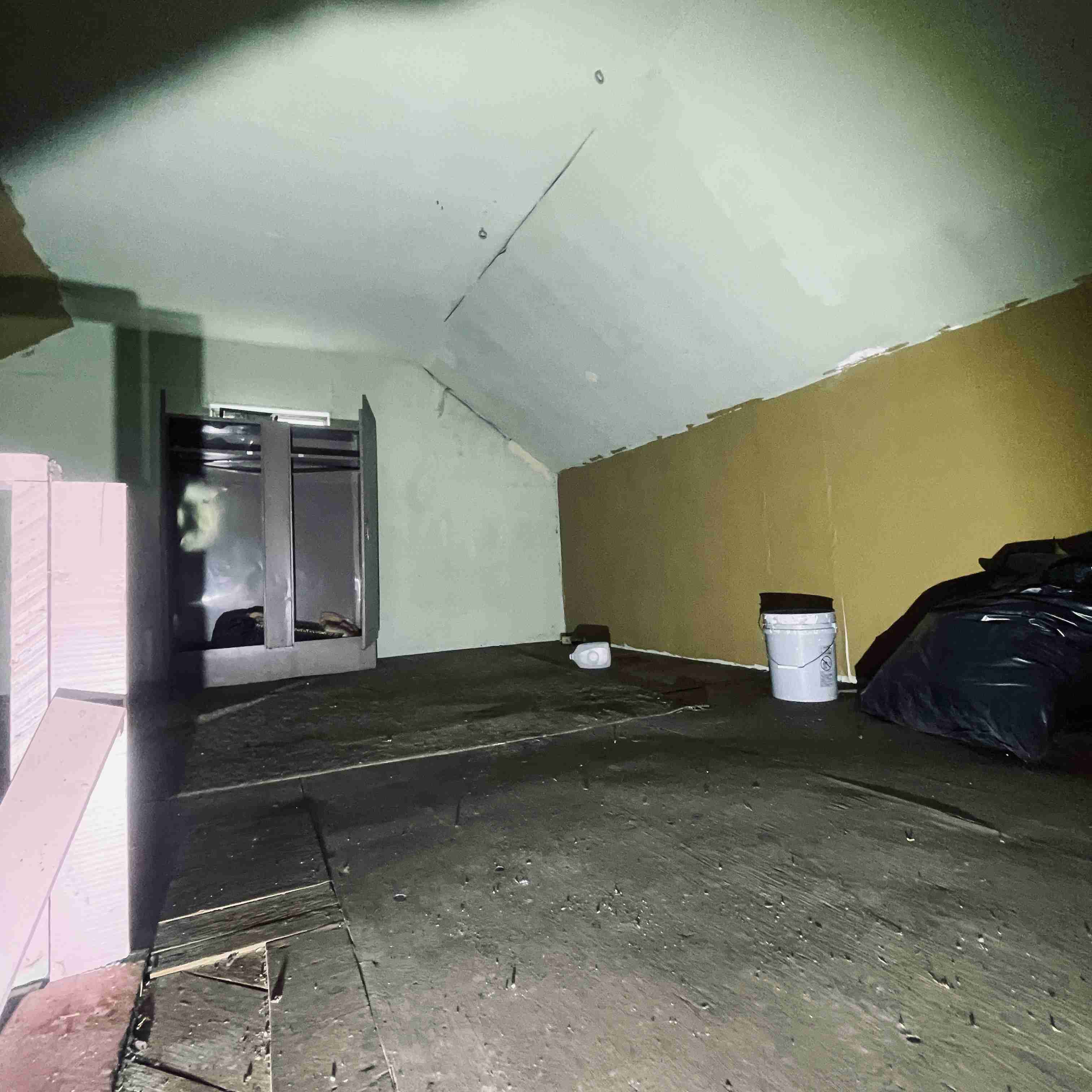 4277 TUXEDO (52).jpg